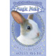 Magic Molly : The Invisible Bunny by ''Holly Webb''